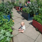 Rooftop community garden Southbank – Ollie